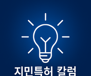 "BM 특허" 확보 방안
