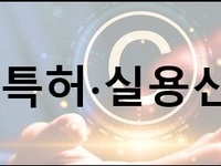 특허, 실용신안 제도